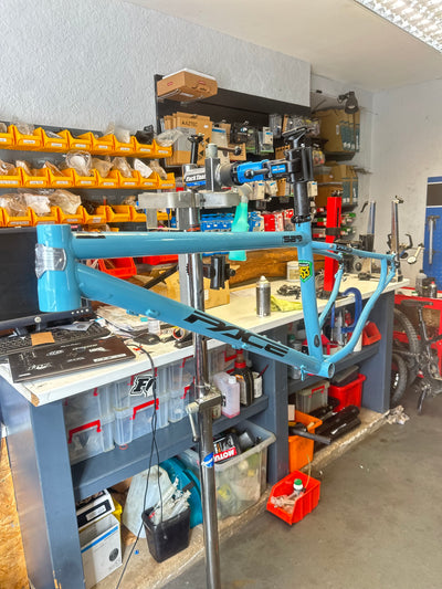 RC529 EX DEMO FRAME - MEDIUM