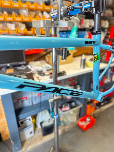 RC529 EX DEMO FRAME - MEDIUM