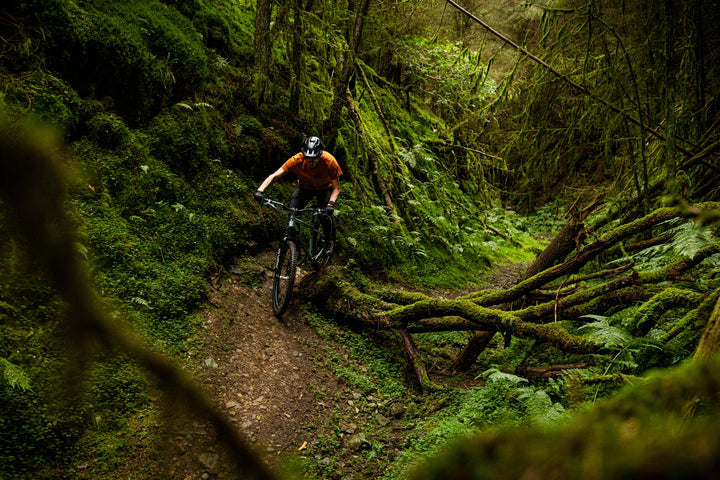 Pace Dalby_54.jpg__PID:5199f367-cf4e-4621-a9f9-97b637b2743c